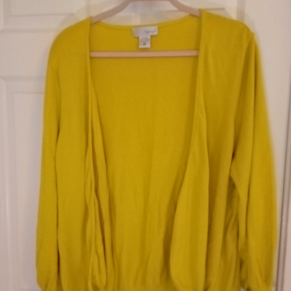 Spiegel Sweater Size 3x Color Mustard Yellow